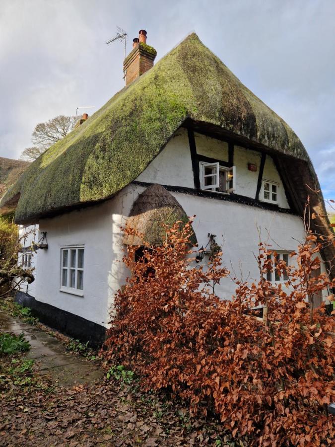 Delightful 3Bed Thatched Cottage สต็อคบริดจ์ ภายนอก รูปภาพ